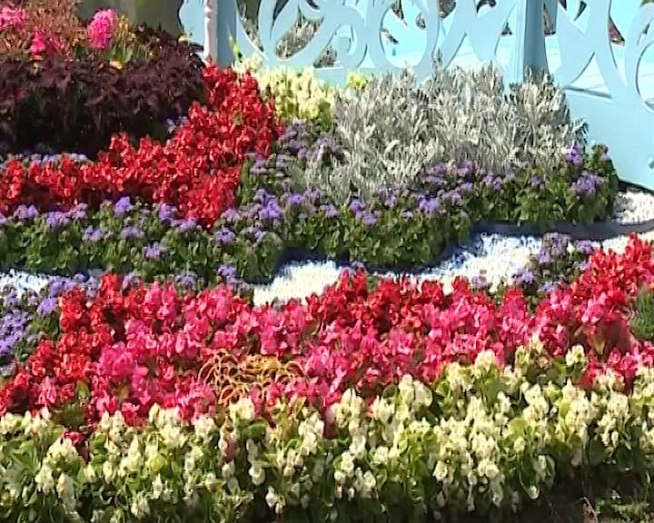 Заморозки не хотят отпускать Ярославскую область