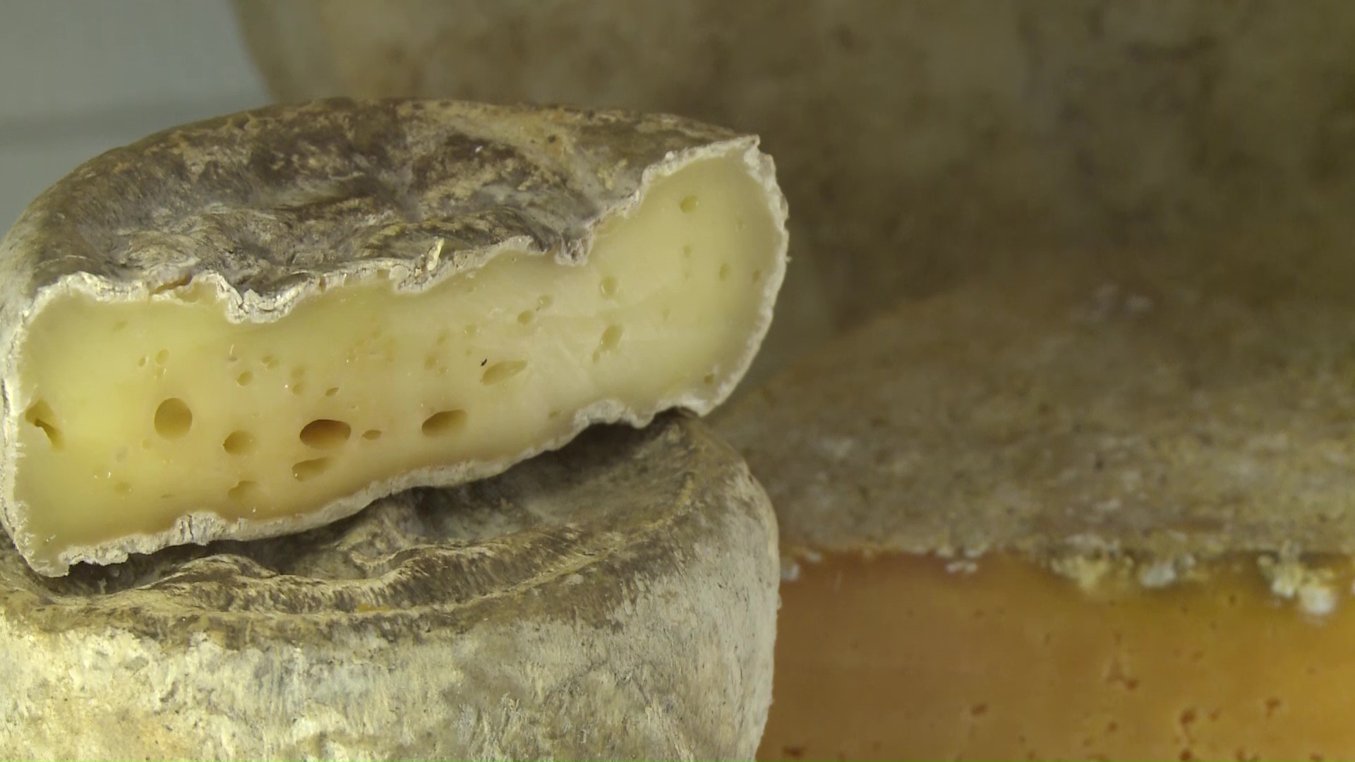С плесенью и без, белый и желтый: в мире отмечают день любителей сыра