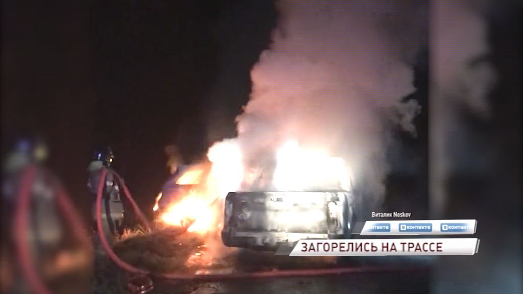 Из-за лося на трассе Рыбинск-Пошехонье полностью сгорели два автомобиля