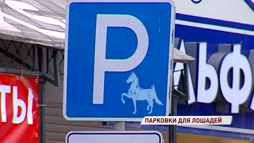 В Ярославле появятся места для парковки лошадей