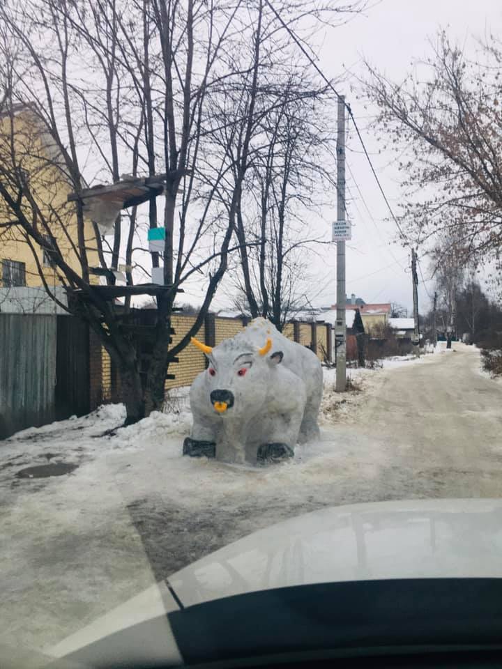 Шикарный символ наступающего года появился в Дзержинском районе
