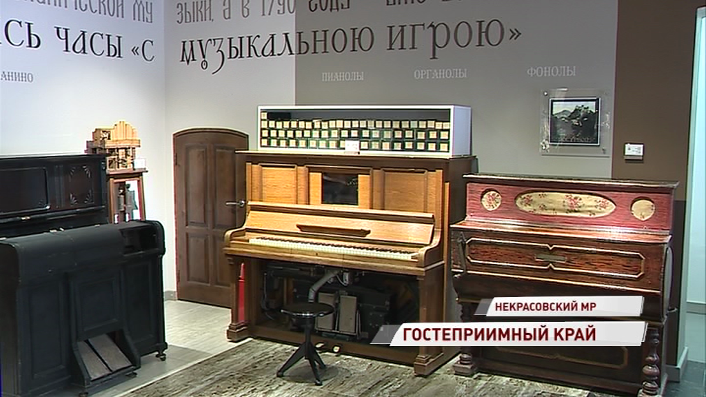 Регион может стать лучшим в стране в сфере туризма: какие мероприятия привлекают людей