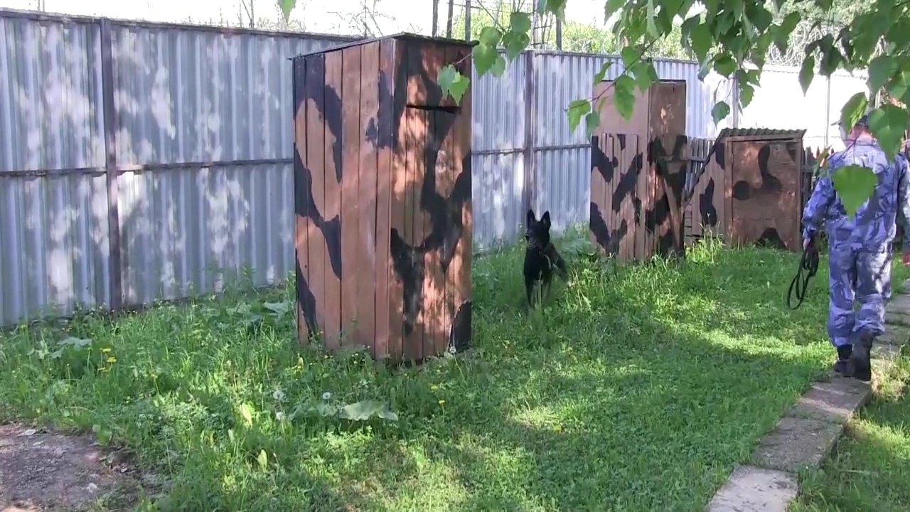 Кинологи УФСИН отметили профессиональный праздник