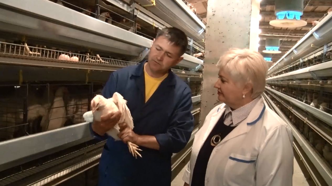 Программа «ТЕРРИТОРиЯ: Даниловский МР». Выпуск от 11.06.2022