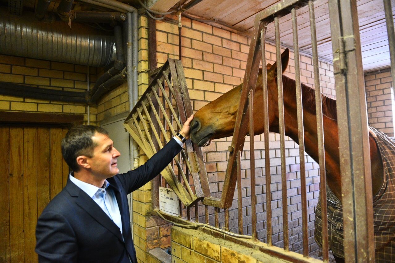 Мэр проверил состояние лошадей после информации о плохом содержании животных в спортшколе
