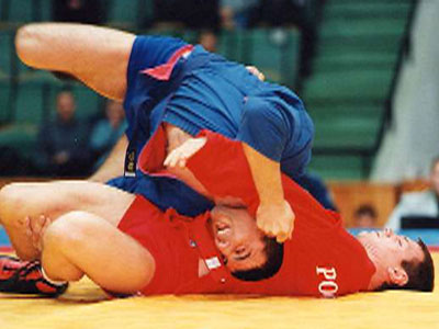 Серебряно - бронзовое самбо