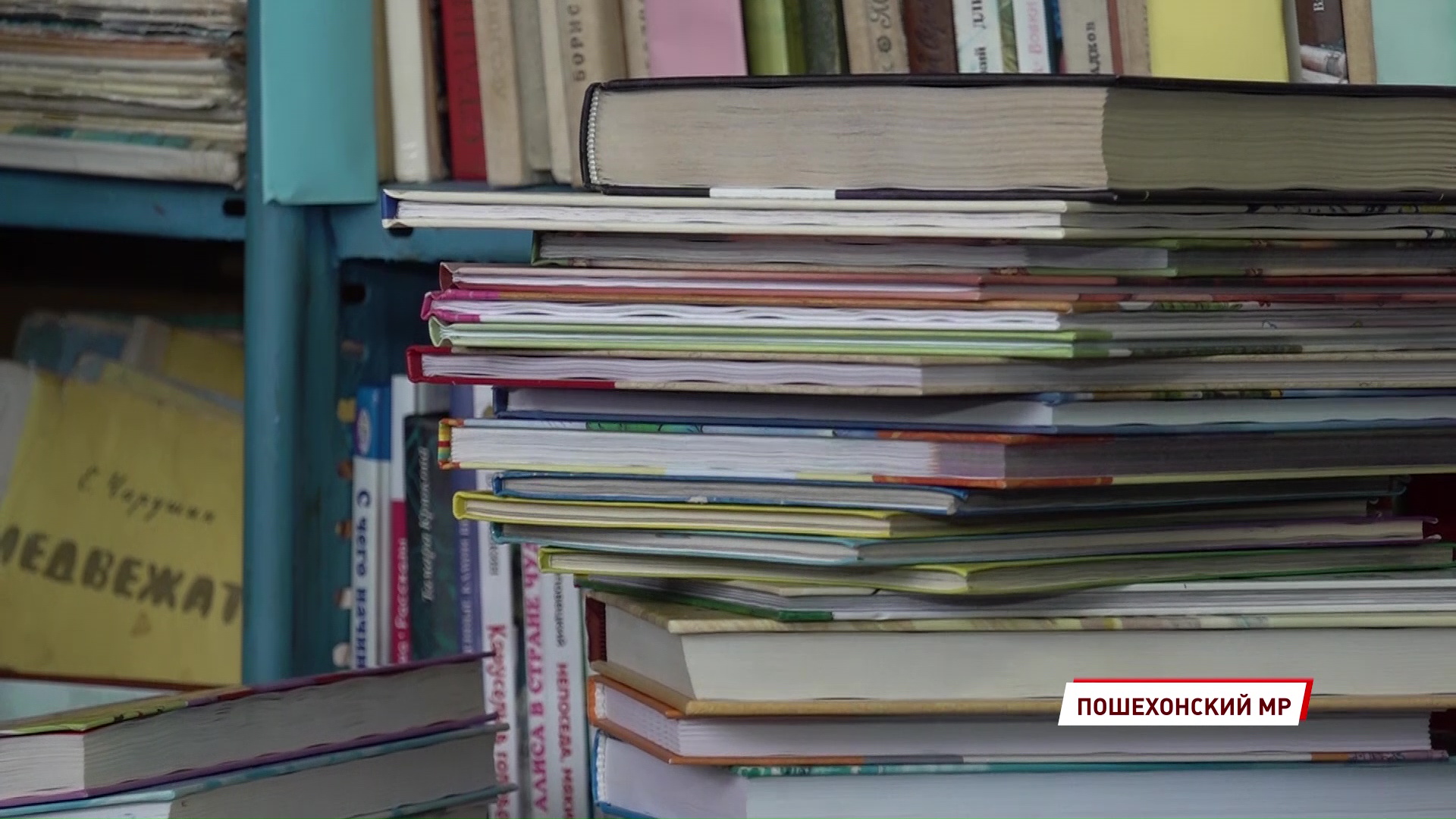 133 килограмма радости: для детей из села Белого собрали более трехсот книг