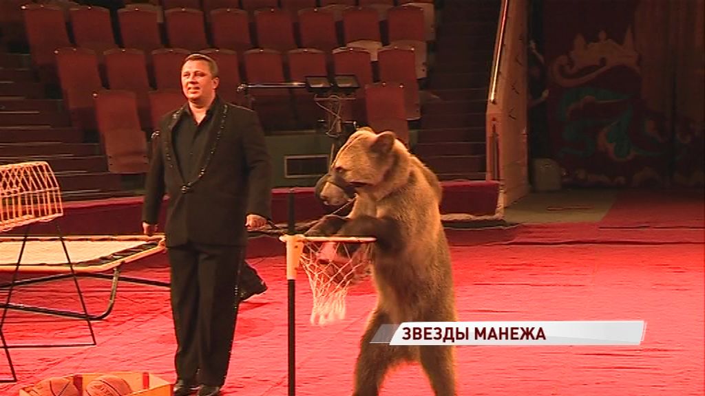 Ярославский цирк снова готов удивлять: новую программу подготовили известные цирковые семьи