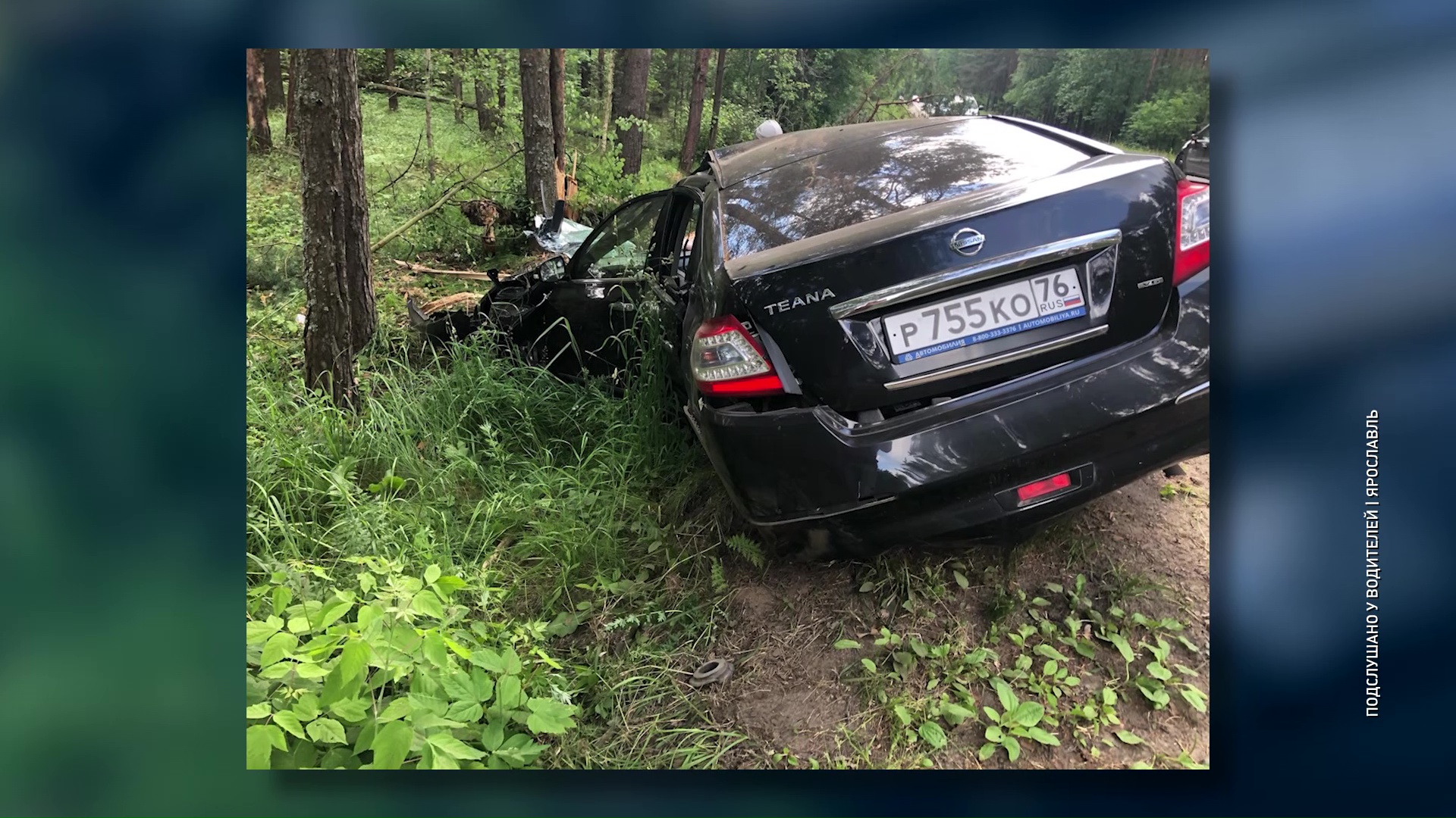 Иномарка «срубила» две сосны на дороге на Прусовские карьеры