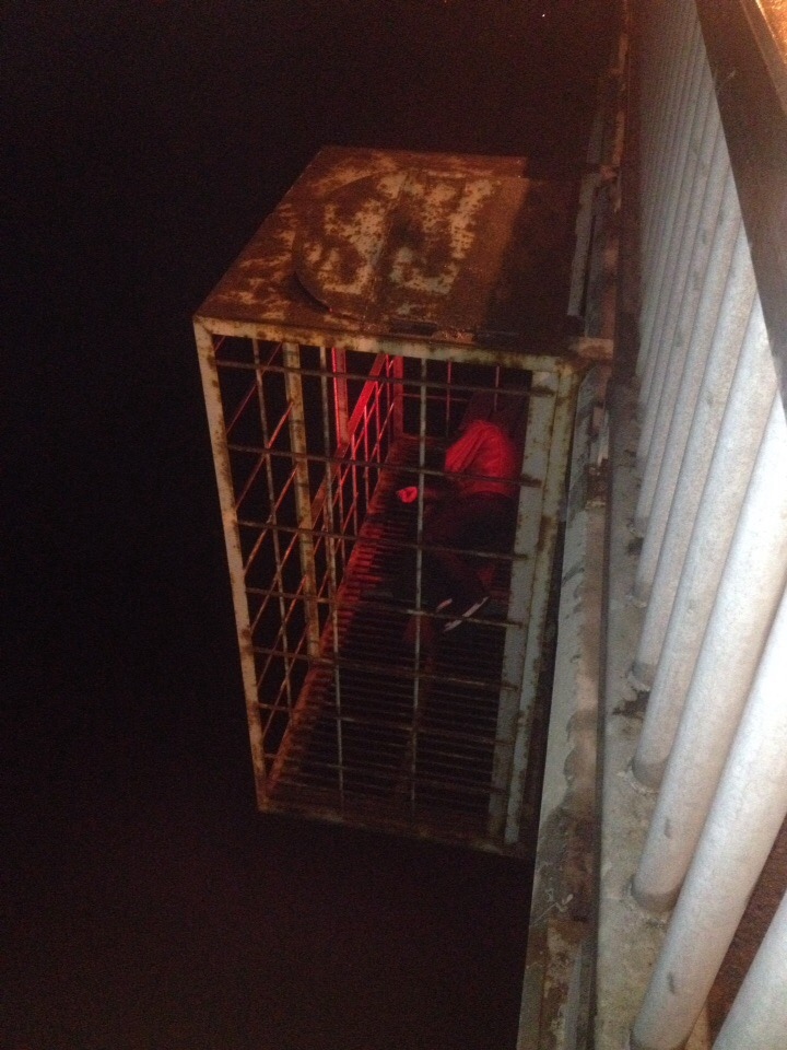 Спасатели ночью вызволяли человека из клетки под Октябрьским мостом