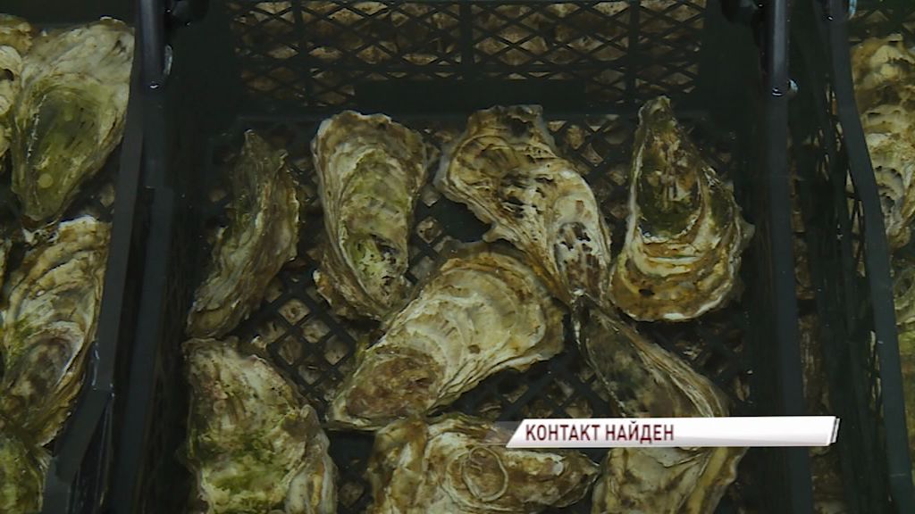 В ярославских магазинах могут появиться черноморские мидии