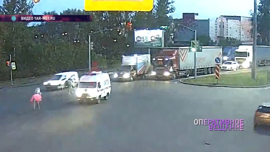 Водитель, в чье авто влетела лошадь, ищет владельцев животного