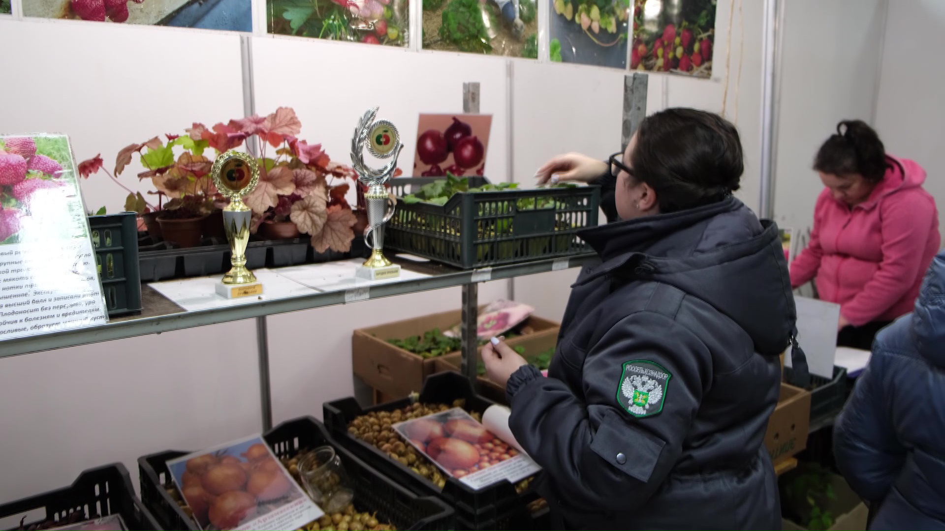 Специалисты Россельхознадзора начали рейды по магазинам, продающим семена