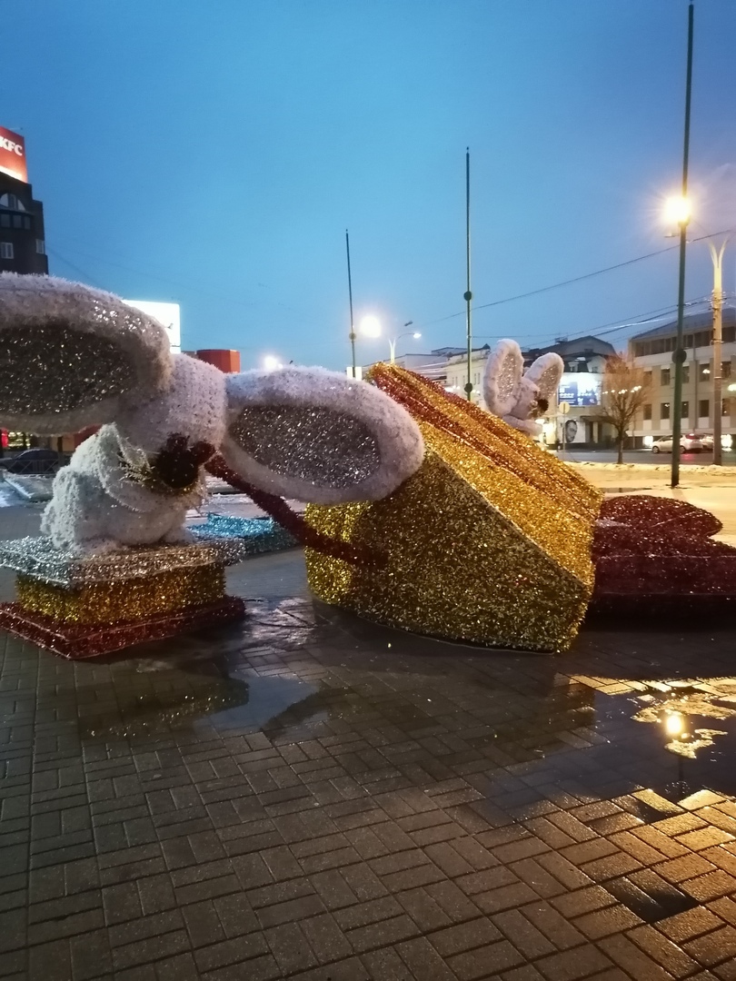 На площади Юности вновь попадали мыши