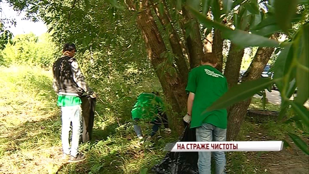 Волонтеры «Экодесанта» навели порядок на пустыре во Фрунзенском районе