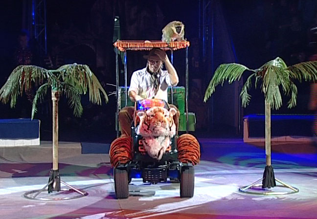 Цирк начал работать