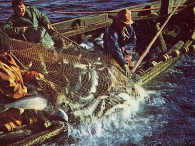 Поймали браконьеров