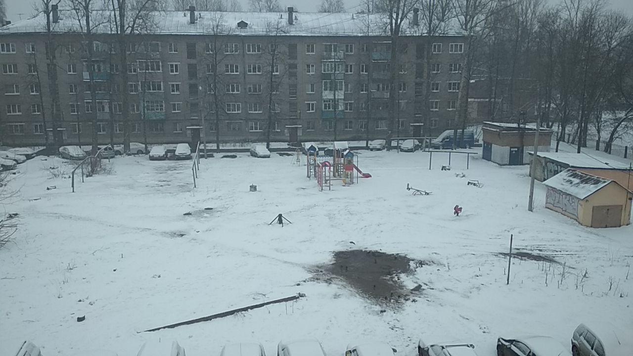 Погода шепчет “сиди дома”: Ярославль накрыло снегом