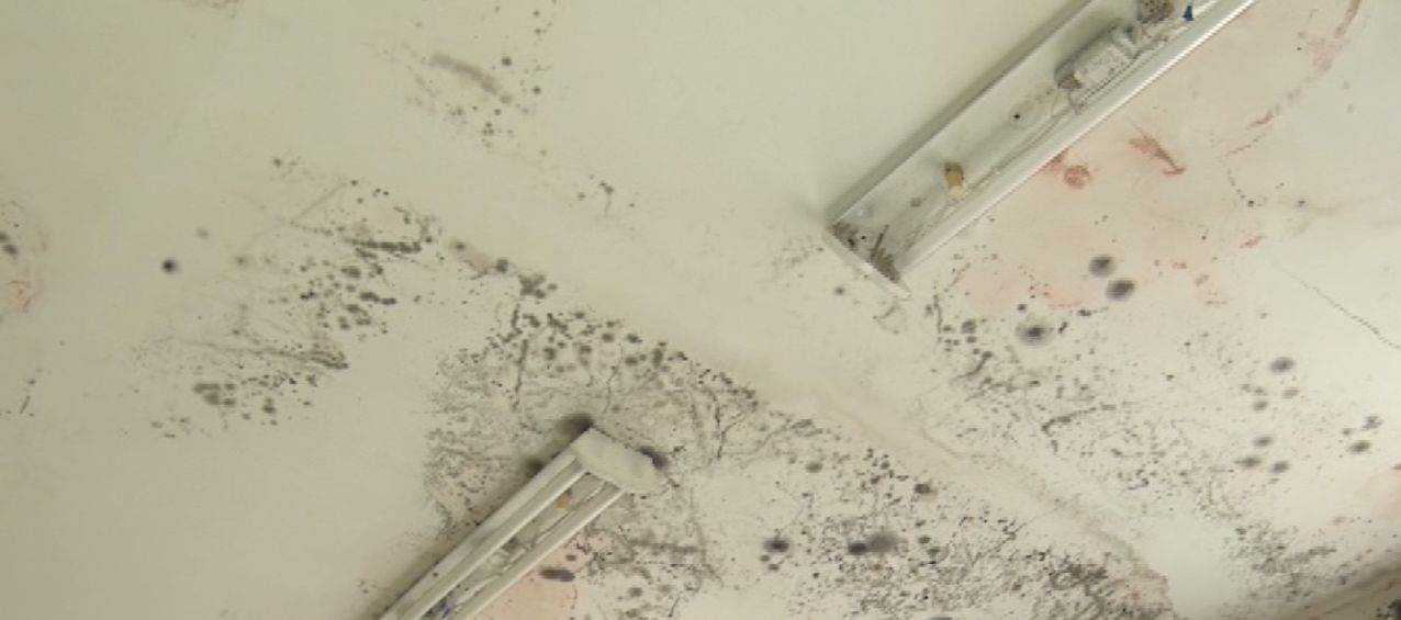 Из-за недобросовестного подрядчика в больнице села Петровского течет крыша