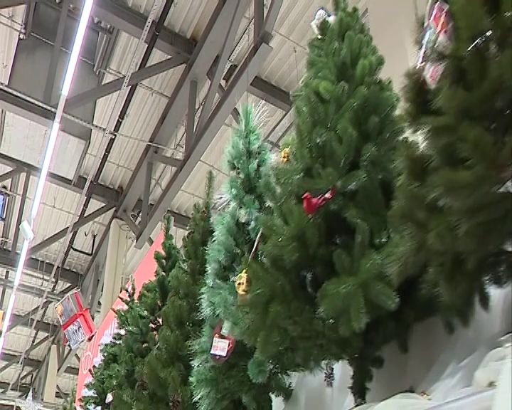 Специалисты рассказали, как выбрать новогоднюю елку