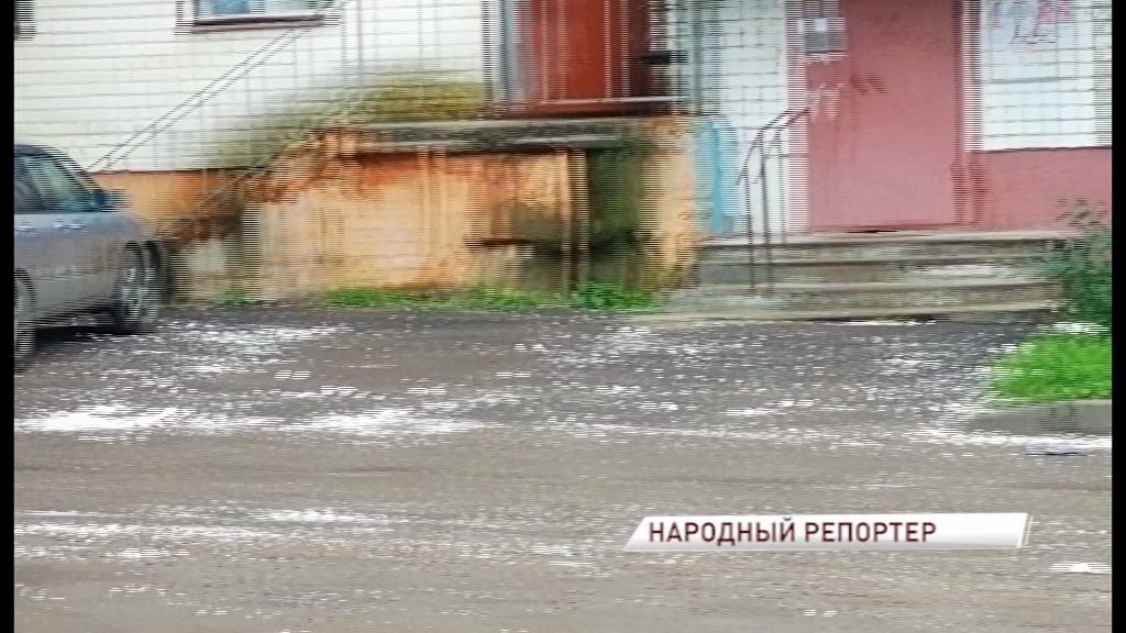 Летом «снег» усыпал двор на улице Ньютона