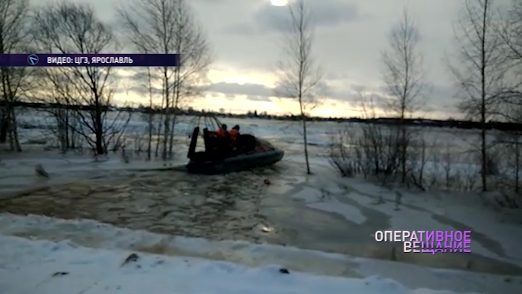 Под Ярославлем с льдины сняли собаку и хозяина, который пытался ее спасти