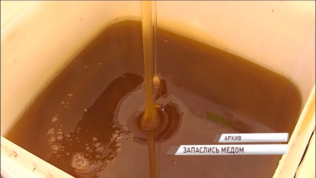 Ярославль вошел в десятку российских городов с самыми большими продажами меда