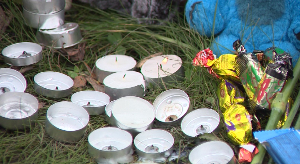 22 октября в Ярославской области будет днем траура по погибшим в пожаре в Ростове