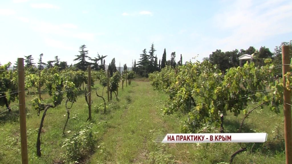 Ярославские студенты будут проходить практику на одном из ведущих крымских агропредприятий