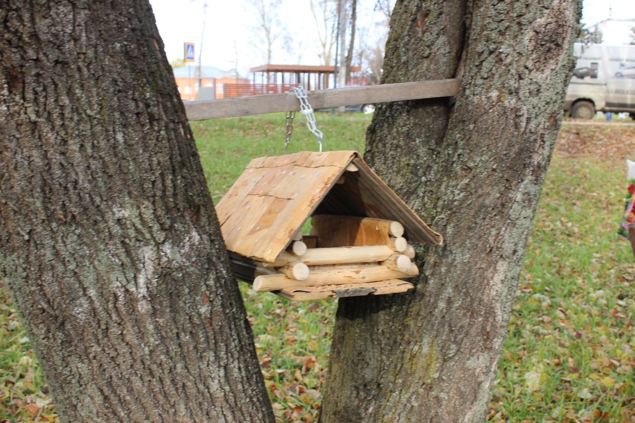 Более 500 школьников в Ярославской области занимаются в лесничествах