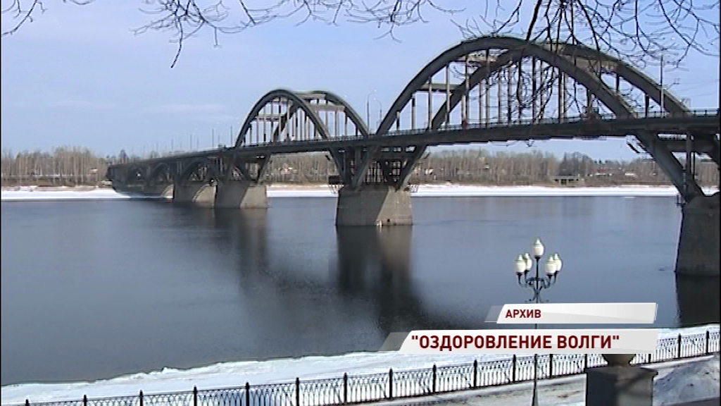 На «Оздоровление Волги» направят 205 миллиардов рублей