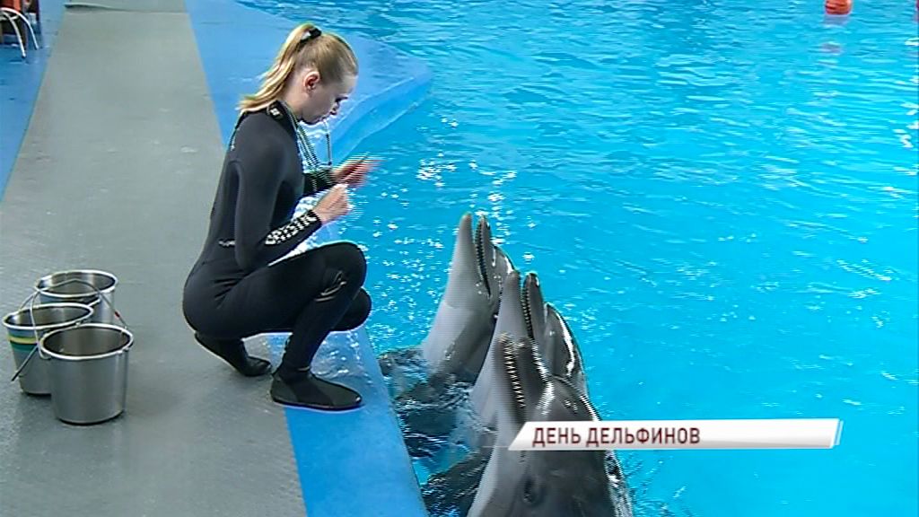 Во всем мире отмечают День китов и дельфинов