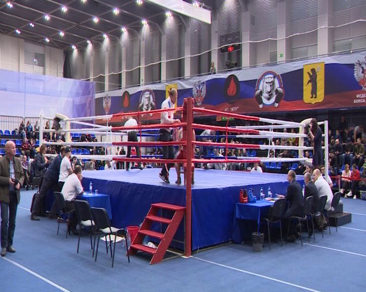 На Кубке губернатора по боксу выступят более 150 участников