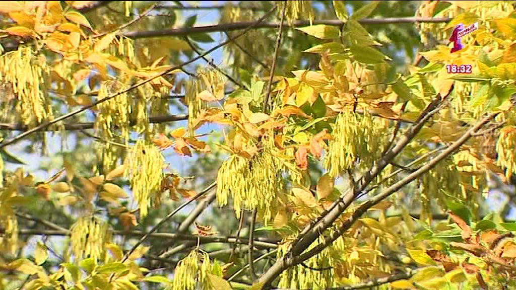 Осенняя хандра: откуда она берется и как с ней бороться