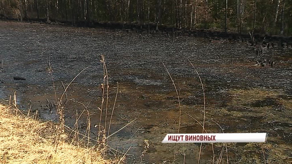Следователи выяснят, по чьей вине в Ярославле появилось целое нефтяное озеро