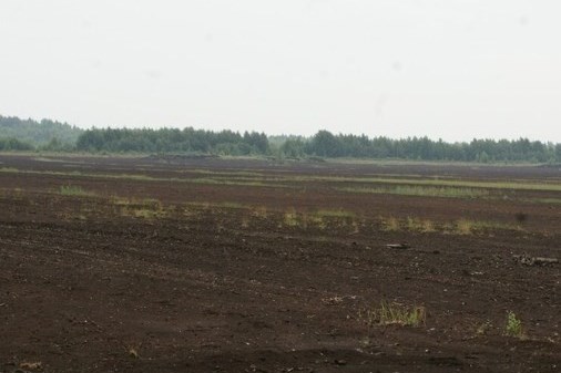 Чтобы обеспечить теплом жителей Мокеихи, временно разрешат добывать торф