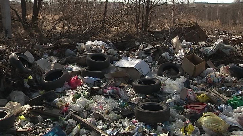 Представители департамента охраны окружающей среды вышли в рейд по стихийным свалкам