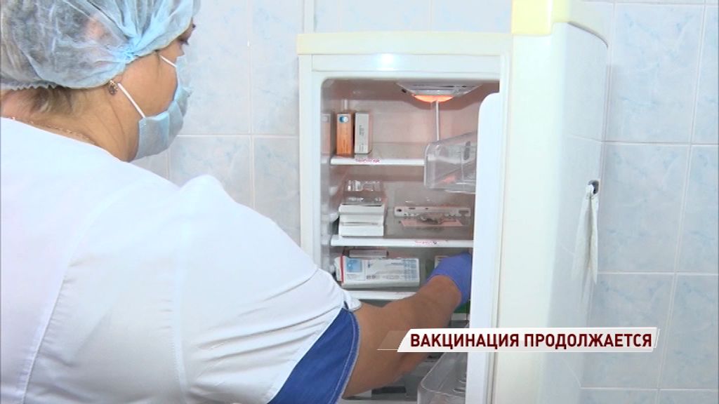 В Ярославскую области доставили новую партию вакцин от гриппа