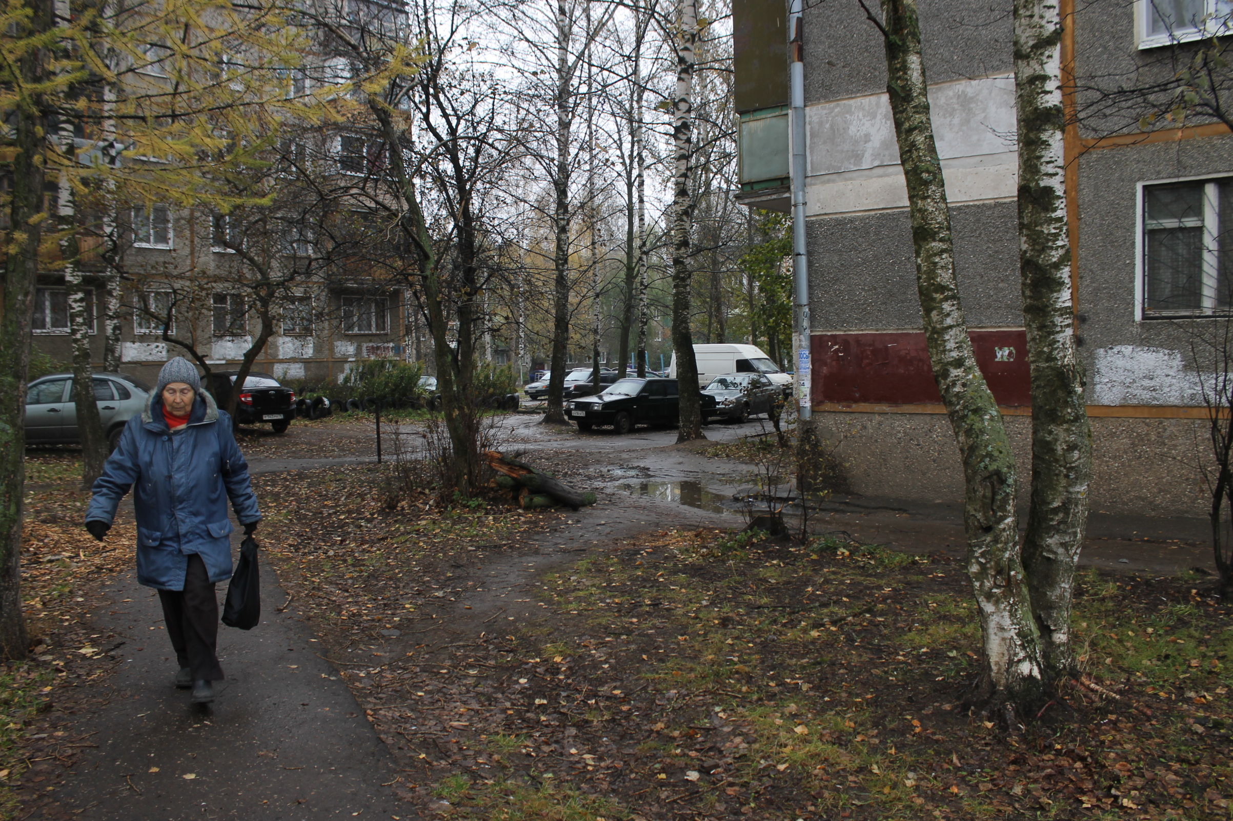 В Ярославской области продлили режим самоизоляции