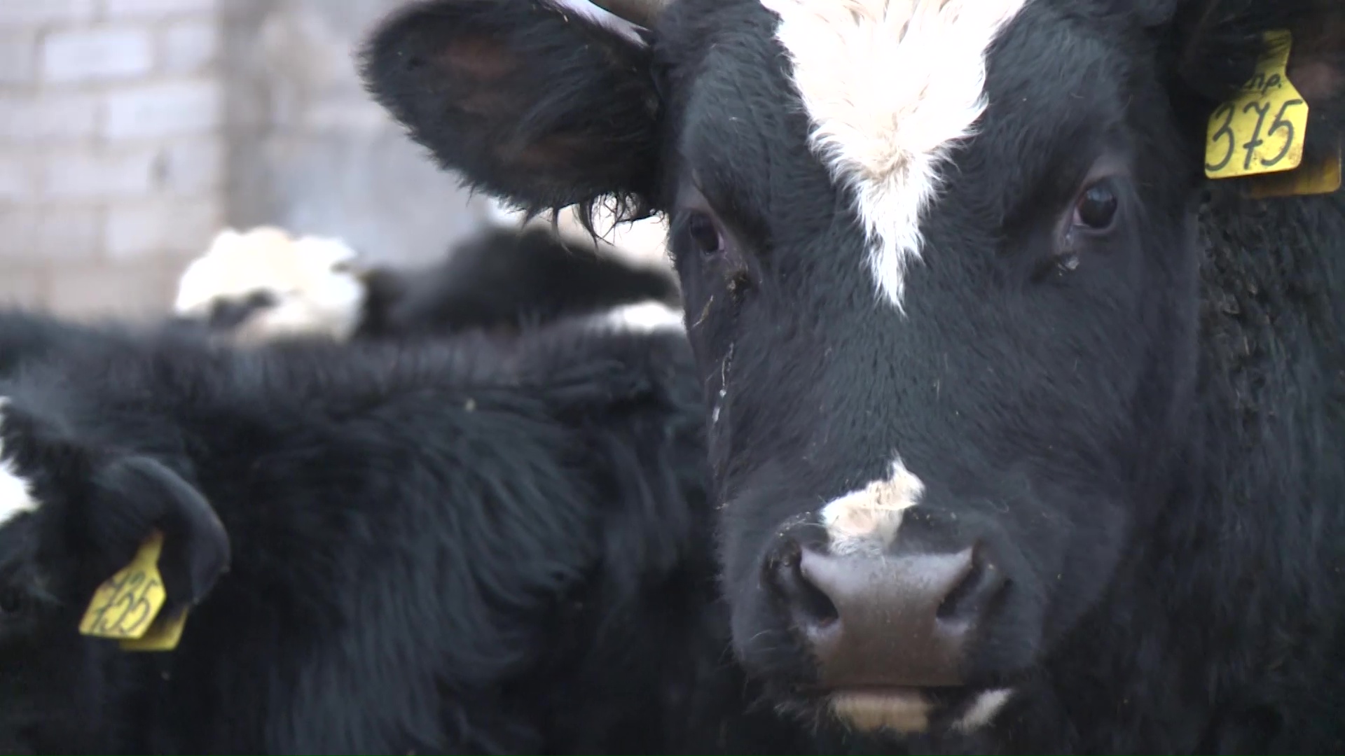 Выигранный региональный грант помог семье фермеров развить свое дело