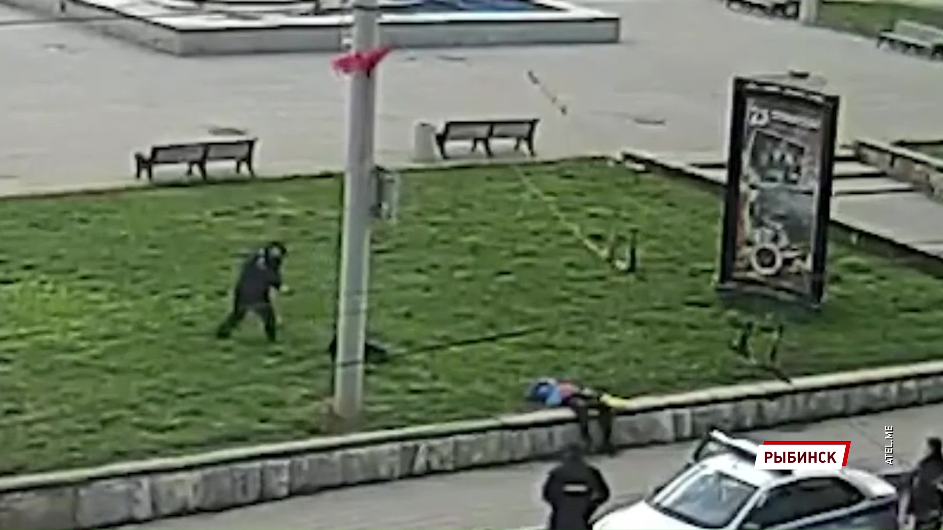 В Рыбинске полицейский выстрелил в напавшую на него собаку: подробности происшествия