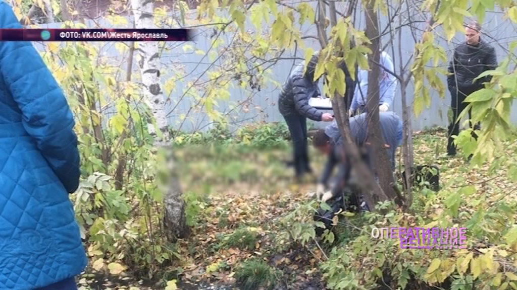 Неделю пролежал под листвой: в Красноперекопском районе нашли труп