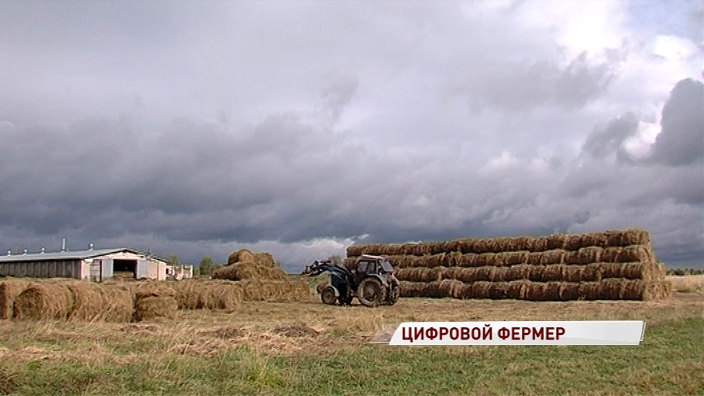 Минсельхоз прогнозирует увеличение урожая зерновых в 2019 году до 118 млн тонн