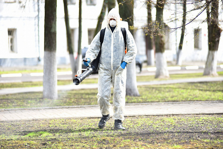 В Ярославле начали обрабатывать парки от клещей