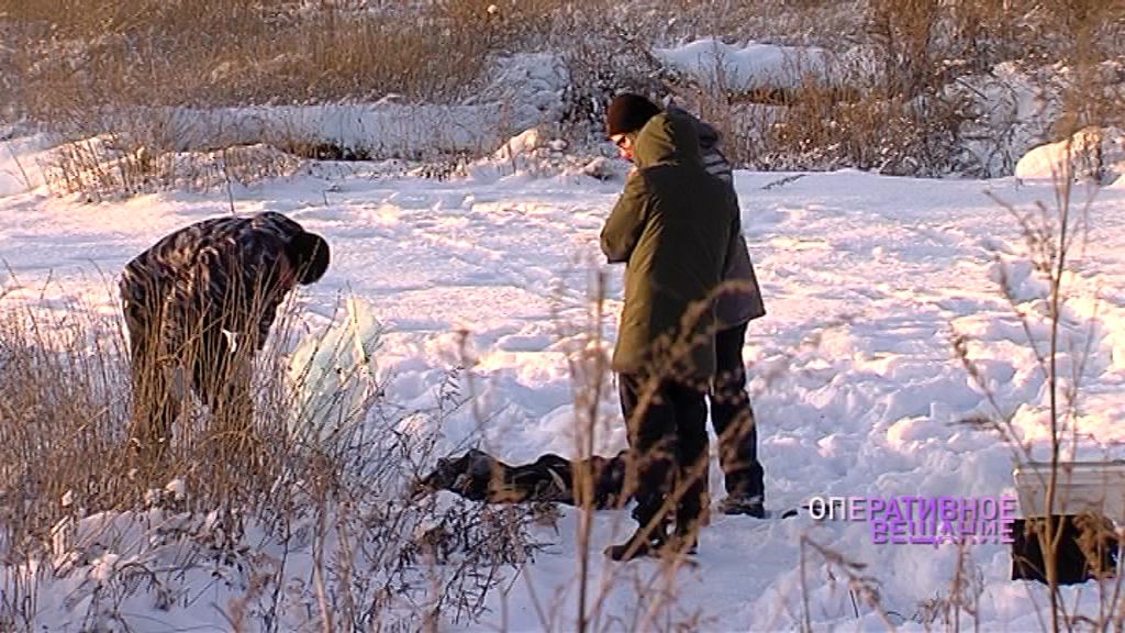 Поссорились из-за ограды на могиле кошки: подробности убийства у поселка Полесье