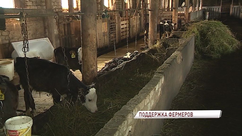 Минсельхоз провел сессию по развитию экспорта АПК на Российском инвестиционном форуме в Сочи