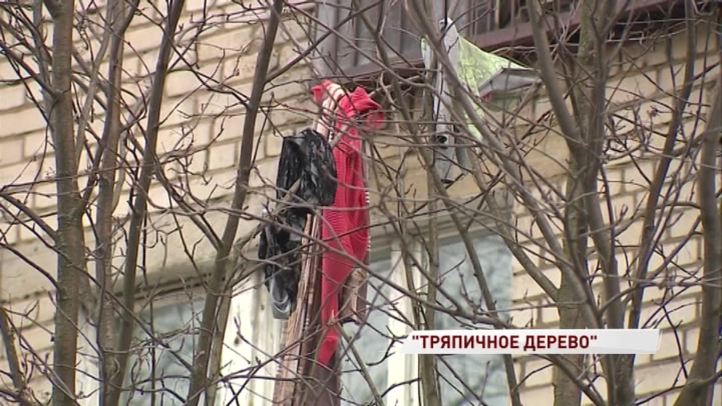 Дерево в Красноперекопском районе «украсили» подушки и чья-то одежда