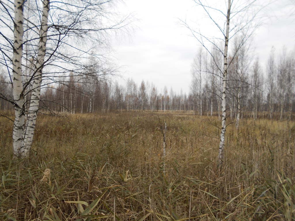 В Ярославской области нарушители земельного законодательства дополнительно выплатили в бюджет 10,6 млн рублей