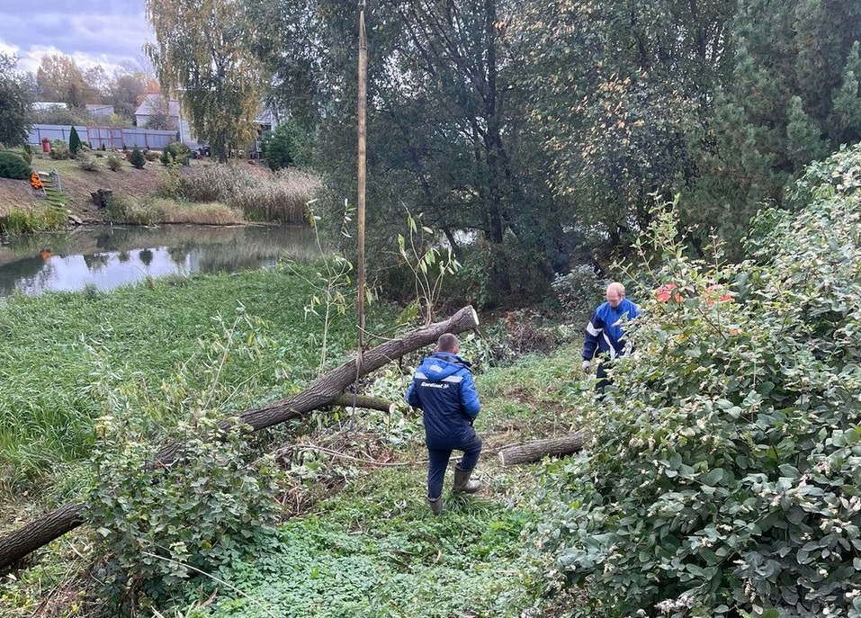 Расчистку устья реки Волготни планируют провести в Ярославской области