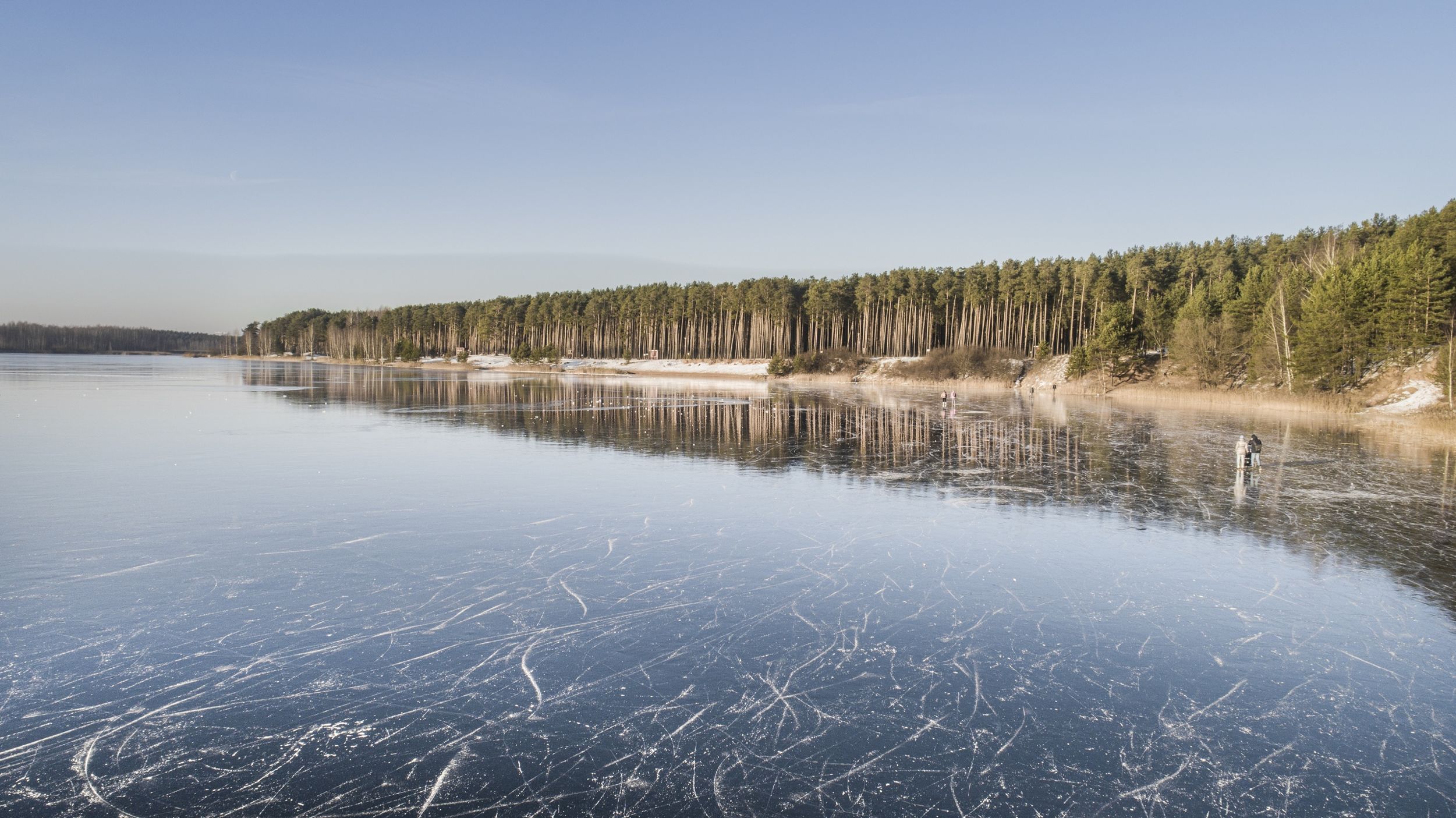 Лесопарковая зона Ярославля превысит 1 100 гектаров